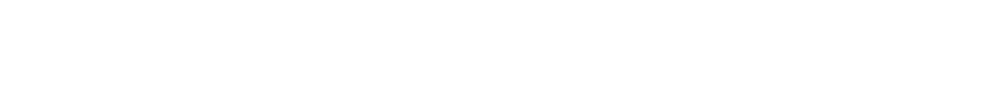 ENERGETICS Wordmark
